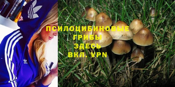 амф Володарск
