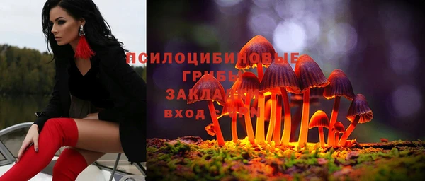 амф Володарск