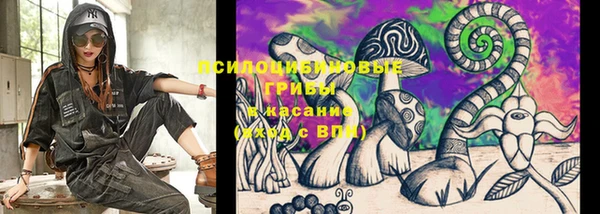стафф Волоколамск
