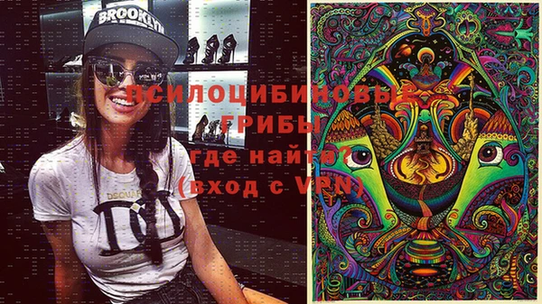 стафф Волоколамск
