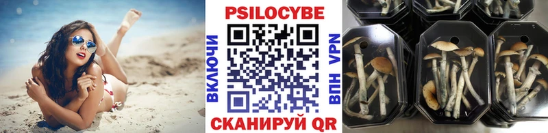 Псилоцибиновые грибы мухоморы  MEGA tor  Игарка 